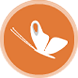 orange-icon-large.png